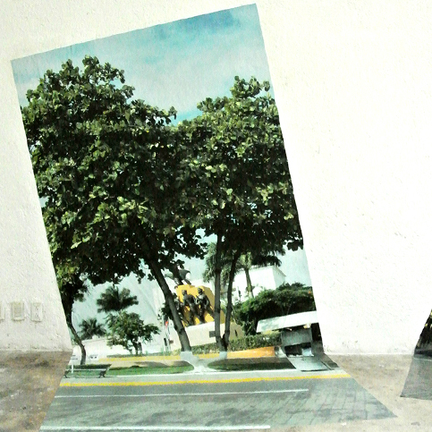 Los árboles